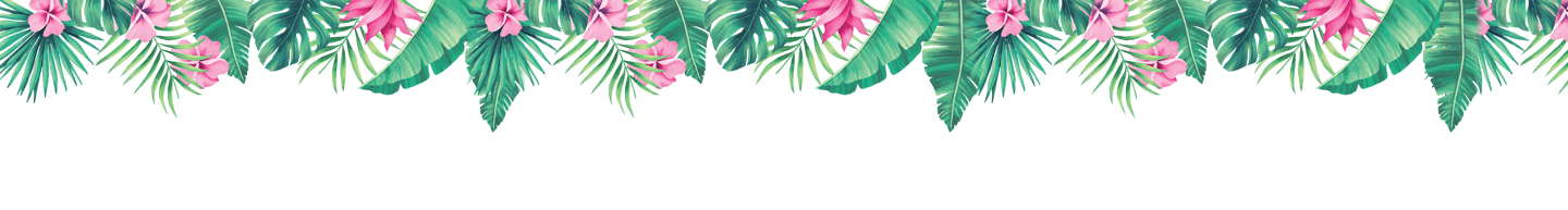 Coral theme